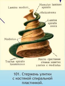 %d1%80%d0%b8%d1%81-%e2%84%963