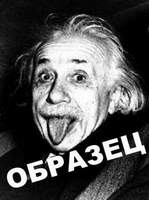 enshtein