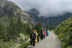 123867563234651