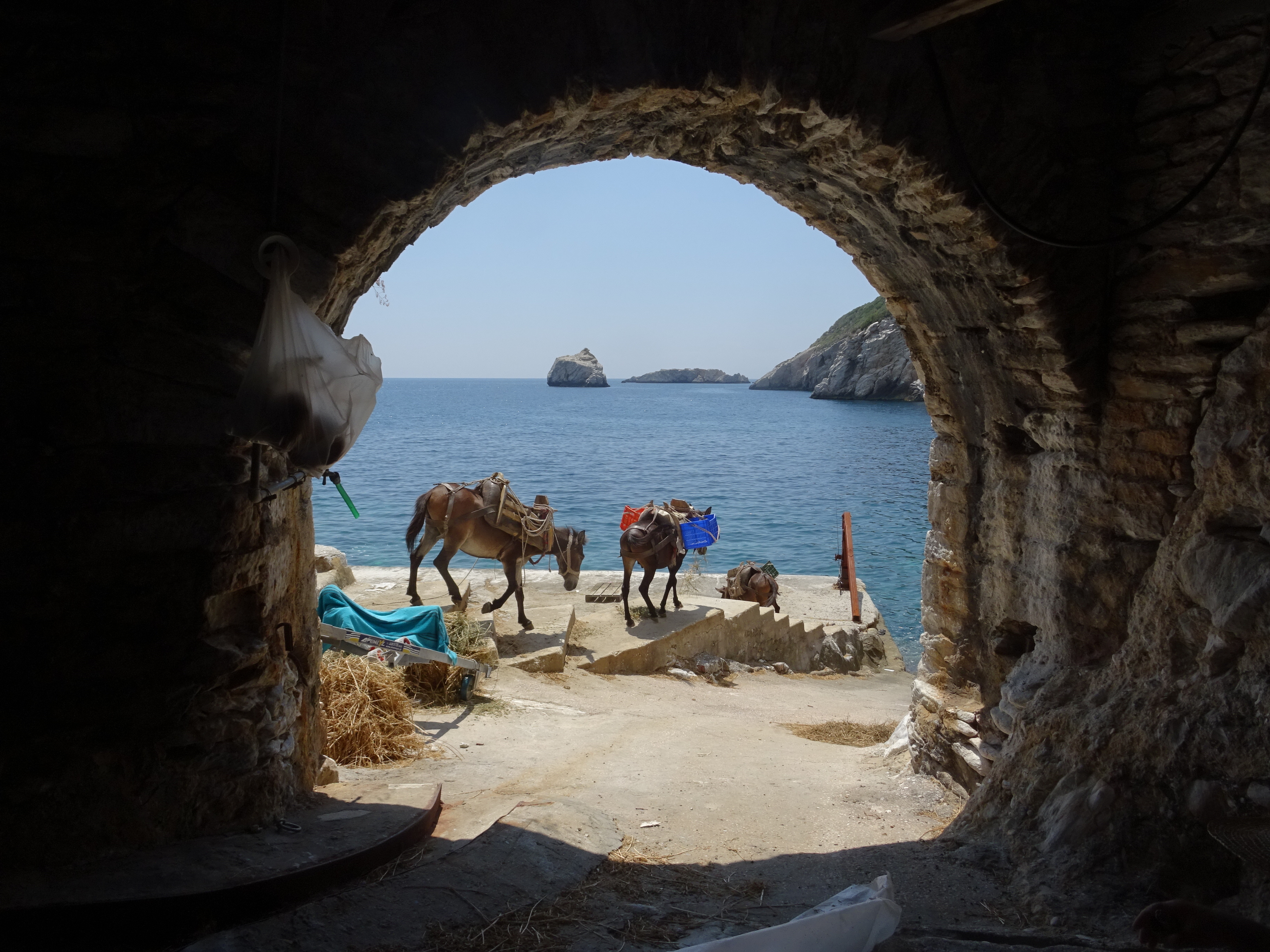 DSC05999 — Парапсихология и эзотерика